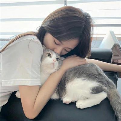 美国豚鼠4:献祭